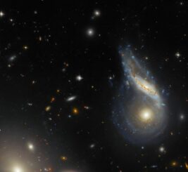 Bild des verschmelzenden Galaxienpaares Arp 122, basierend auf Daten des Weltraumteleskops Hubble und des Victor M. Blanko 4-Meter-Teleskops. (Credits: ESA / Hubble & NASA, J. Dalcanton, Dark Energy Survey / DOE / FNAL / DECam / CTIO / NOIRLab / NSF / AURA; Acknowledgement: L. Shatz)