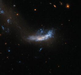 Hubble-Aufnahme der kleinen Galaxie UGC 5189A. (Credits: ESA / Hubble & NASA, A. Filippenko)