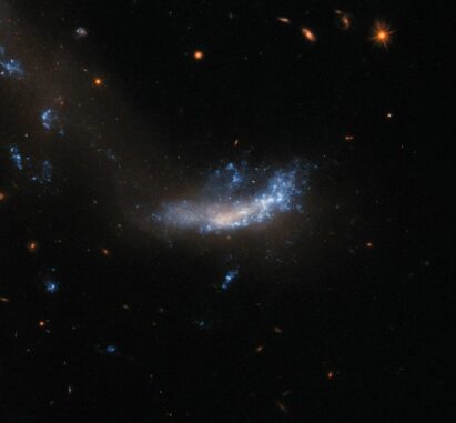 Hubble-Aufnahme der kleinen Galaxie UGC 5189A. (Credits: ESA / Hubble & NASA, A. Filippenko)