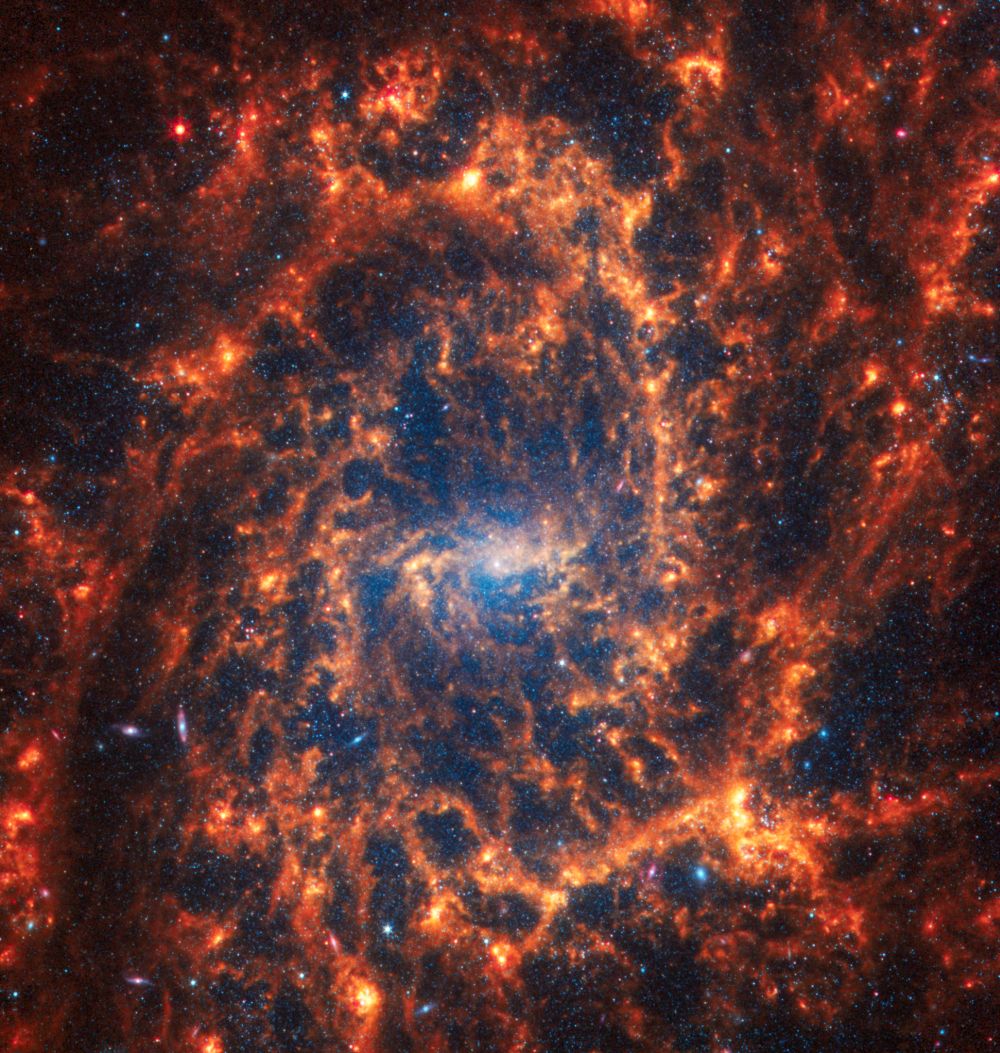 NGC 2835 liegt 35 Millionen Lichtjahre entfernt im Sternbild Hydra. (Credits: NASA, ESA, CSA, STScI, Janice Lee (STScI), Thomas Williams (Oxford), and the PHANGS team)
