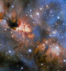 Hubble-Aufnahme der Sternentstehungsregion IRAS 16562-3959. (Credits: ESA / Hubble & NASA, R. Fedriani, J. Tan)
