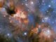 Hubble-Aufnahme der Sternentstehungsregion IRAS 16562-3959. (Credits: ESA / Hubble & NASA, R. Fedriani, J. Tan)