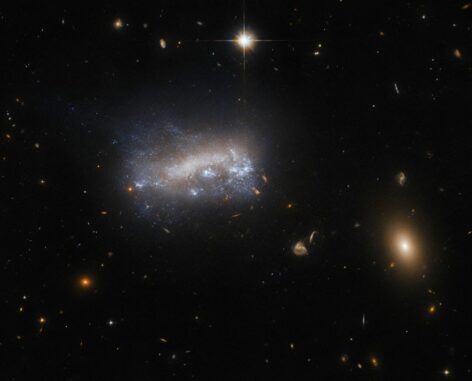 Hubble-Aufnahme der Zwerggalaxie LEDA 42160. (Credits: ESA / Hubble & NASA, M. Sun) Hubble-Aufnahme der Zwerggalaxie LEDA 42160. (Credits: ESA / Hubble & NASA, M. Sun)
