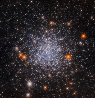 Hubble-Aufnahme des Kugelsternhaufens NGC 1651. (Credits: ESA / Hubble & NASA, L. Girardi, F. Niederhofer Hubble-Aufnahme des Kugelsternhaufens NGC 1651. (Credits: ESA / Hubble & NASA, L. Girardi, F. Niederhofer