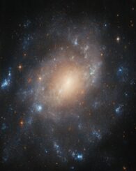 Hubble-Aufnahme der Spiralgalaxie ESO 422-41. (Credits: ESA / Hubble & NASA, C. Kilpatrick)