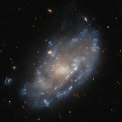 Hubble-Aufnahme der Zwerggalaxie IC 776. (Credits: ESA / Hubble & NASA, M. Sun)