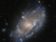 Hubble-Aufnahme der Zwerggalaxie IC 776. (Credits: ESA / Hubble & NASA, M. Sun)