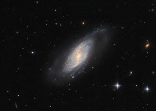 Hubbe-Aufnahme der Spiralgalaxie UGC 9684. (Credits: ESA / Hubble & NASA, C. Kilpatrick)