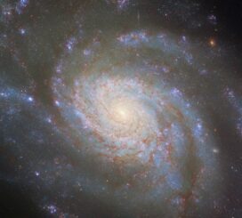 Hubble-Aufnahme der Galaxie NGC 3810. (Credits: ESA / Hubble & NASA, D. Sand, R. J. Foley)