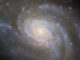Hubble-Aufnahme der Galaxie NGC 3810. (Credits: ESA / Hubble & NASA, D. Sand, R. J. Foley)