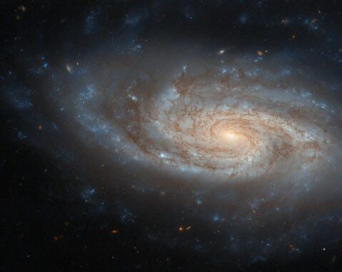 Hubble-Aufnahme der Galaxie NGC 3430. (Credits: ESA / Hubble & NASA, C. Kilpatrick) Hubble-Aufnahme der Galaxie NGC 3430. (Credits: ESA / Hubble & NASA, C. Kilpatrick)
