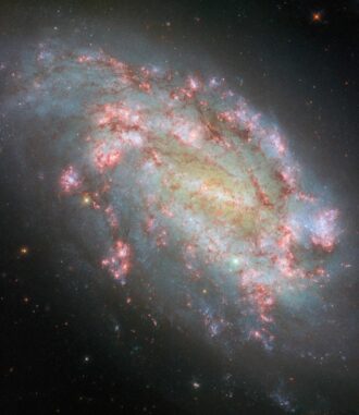 Hubble-Aufnahme der Galaxie NGC 1559. (Credits: ESA / Hubble & NASA, F. Belfiore, W. Yuan, J. Lee and the PHANGS-HST Team, A. Riess, K. Takáts, D. de Martin & M. Zamani (ESA / Hubble)) Hubble-Aufnahme der Galaxie NGC 1559. (Credits: ESA / Hubble & NASA, F. Belfiore, W. Yuan, J. Lee and the PHANGS-HST Team, A. Riess, K. Takáts, D. de Martin & M. Zamani (ESA / Hubble))